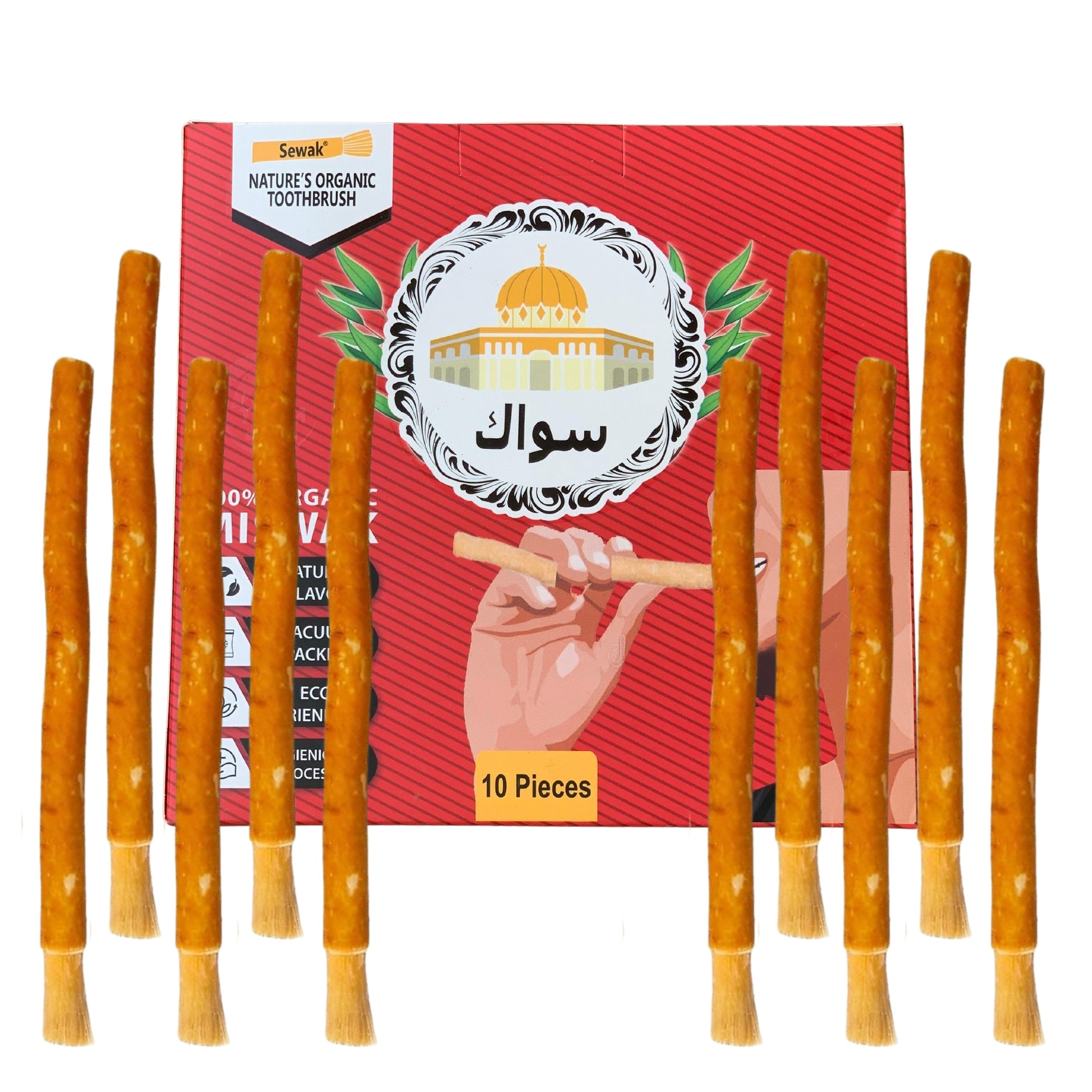 Siwak Organic Wooden Tooth Brush Oral Teeth Whitener with Holder (10 Sticks)