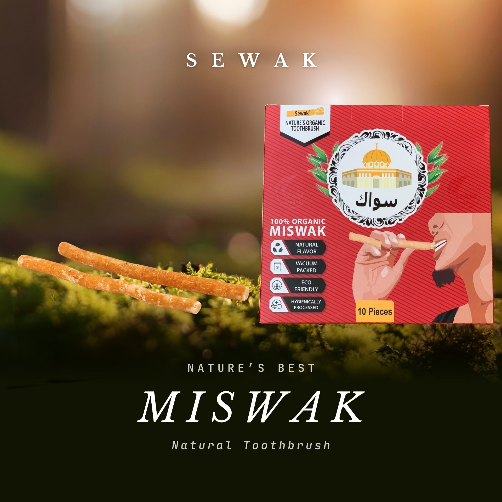 Siwak Organic Wooden Tooth Brush Oral Teeth Whitener with Holder (10 Sticks)