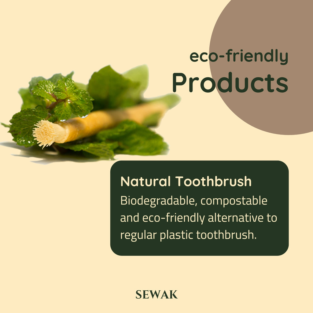 Siwak Organic Wooden Tooth Brush Oral Teeth Whitener with Holder (10 Sticks)