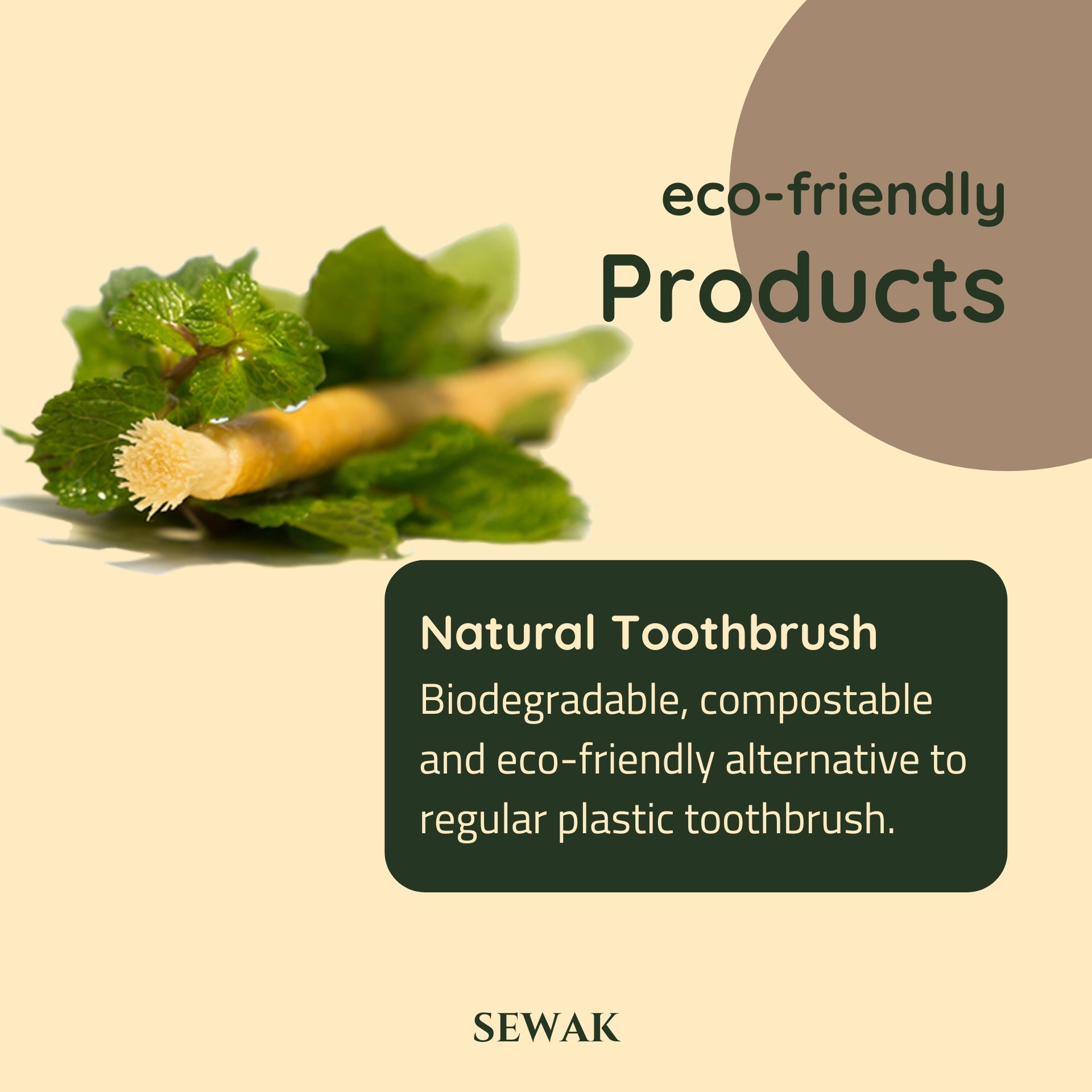 Siwak Organic Wooden Tooth Brush Oral Teeth Whitener with Holder (10 Sticks)